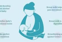 ADVANTAGES AND DISADVANTAGES OF BREASTFEEDING ADVANTAGES AND DISADVANTAGES OF BREASTFEEDING